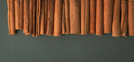 Cinnamon sticks lined in a row on the dark green background. Closeup shot of cinnamon spice