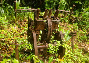 WWII Japanese Navy 25 mm Anti-Aircraft Gun in Jungle, Kahili Airfield, Southern Bougainville. Papua New Guinea. War Relic