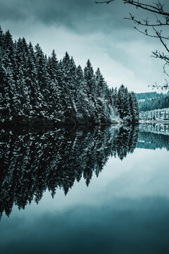 Perfect Reflection Of Mountain Pine Tree Forest With Snow In Cold Winter Times. Calm And Peaceful Mountain Lake With Mirror Like Water. Brocken, Harz Mountain, Harz National Park, Torfhaus, Germany