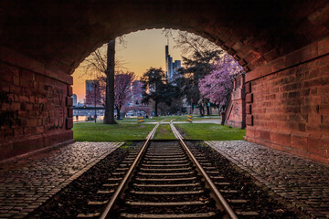 Fototapeta na wymiar Historic railroad track with tunnel on the bank of the river Main in Frankfurt in the evening. Park with trees with blossoms and meadow. City skyline from the financial district in the background