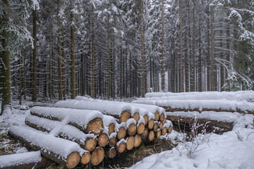Winterurlaub in der verschneiten Eifel
