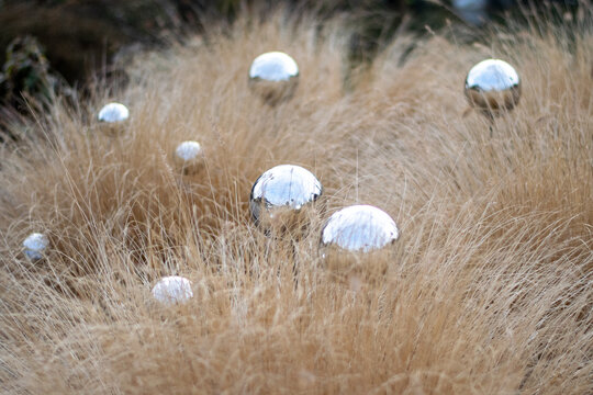 Magic garden, grass with silver ball