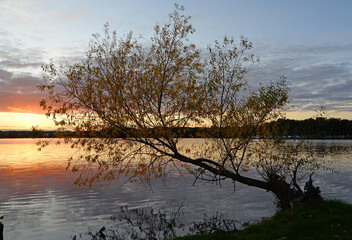 Abend am Schwielochsee