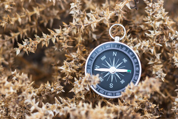 Old compass lying on dry herbal bush. Hiking traveler equipment. Adventure and discovery theme. Navigation for travel. Find way and destination. Сloseup shoot.