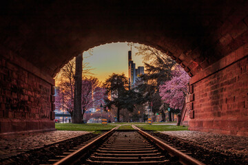 Fototapeta na wymiar Tunnel in dark red bricks. Historic railway track in the park with trees with blossoms near the river Main in Frankfurt. Skyline of the financial district in the background 