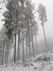Schnee am Feldberg im Taunus (Lockdown, Verkehrschaos)