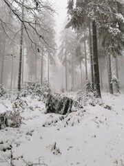 Schnee am Feldberg im Taunus (Lockdown, Verkehrschaos)