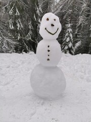 Schnee am Feldberg im Taunus (Lockdown, Verkehrschaos)