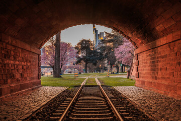 Old railroad track near the river Main in Frankfurt with a view of the high-rise buildings of the financial district in the evening. Trees with blossoms in the park at spring