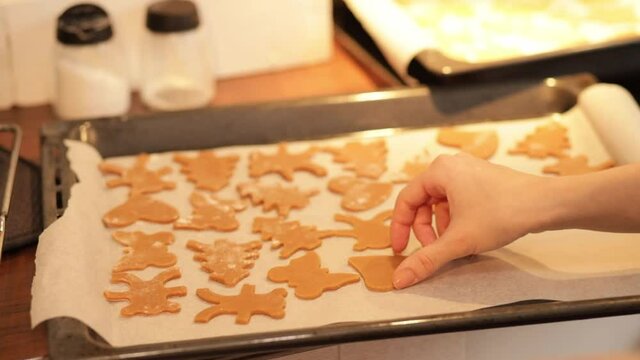 the girl puts in the oven a baking tray with cookies gingerbread for cooking