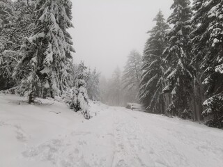 Schnee am Feldberg im Taunus (Lockdown, Verkehrschaos)