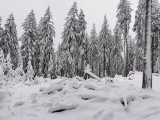 Schnee am Feldberg im Taunus (Lockdown, Verkehrschaos)