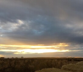 sunset over the corn fields