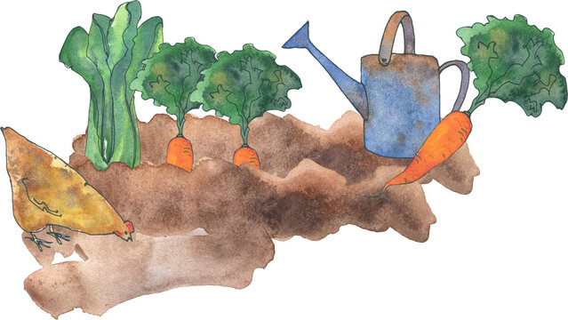 watercolor garden scene with chicken, carrots, watering can clip art preview