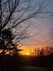 Fototapeta premium Sunset Portrait