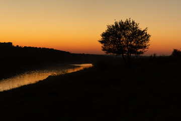 lonely tree at sunset near the river