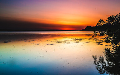 Fototapeta na wymiar beautiful sunset on the sea, tree on the shore, horizon