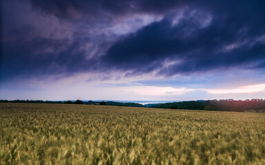 stormy sky, wheat field in the foreground, river in the background