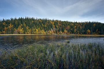 Fototapeta na wymiar lake in the woods at autumn
