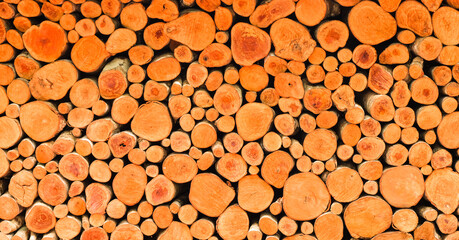 stack of firewood