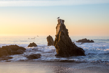 Seascape of rocks and birds at sunrise on Malibu beach in California