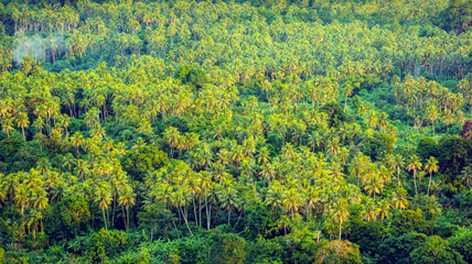 Efate Island, Vanuatu