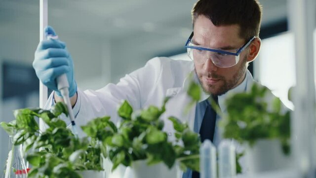 Handsome Male Microbiologist Adding Biological Nutritional Supplement, Vitamins and Minerals from a Pipette to Growing Green Plants