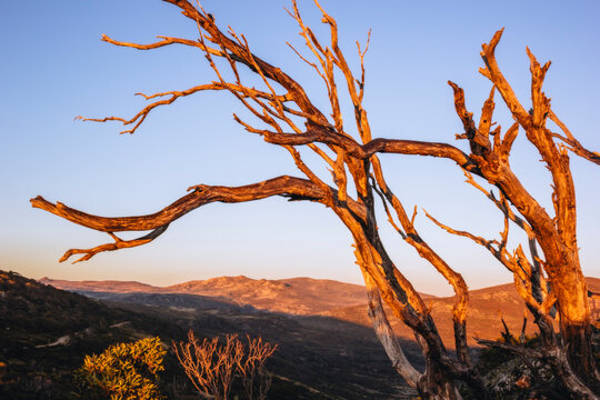 Kosciuszko National Park