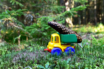 Toy truck transports a big spruce cone in the forest against a background of green moss and trees. Children playing a game in wildlife