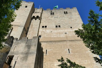 Fototapeta premium La tour de Crest, plus haut donjon de France