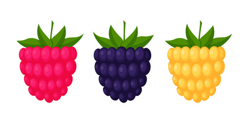 Blackberries, raspberries and cloudberries. Berries with leaves, design elements in a flat style. Color vector illustration, isolated on a white background.