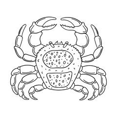 Sketch of a Crab. Marine arthropod animal, hand-drawn doodle design element. Simple contour black and white vector illustration. Isolated on a white background. Doodle style.
