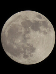 full moon in the night