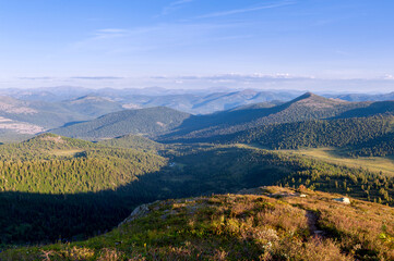 Obraz premium Taiga. Siberia. Mountains covered with forest against the background of the evening sky. Ergaki. Western Sayan.