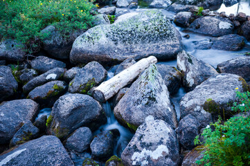 Taiga. Siberia. Ergaki. Mountain stream flowing from the lake 