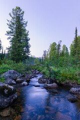 Taiga. Siberia. Ergaki. Mountain stream flowing from the lake 