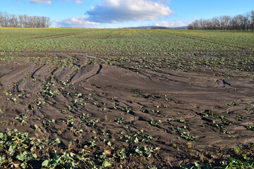 Field erosion agriculture damage on soil and plants