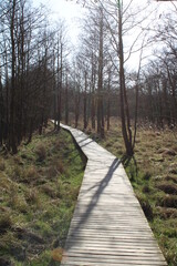 Fototapeta premium National Park Vorpommersche Boddenlandschaft
