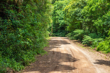 Fototapeta na wymiar Dirty road and forest in Morro do Xaxim mountain
