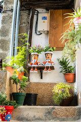 Spain - December 28 2020: Street full of plants in the south of Spain