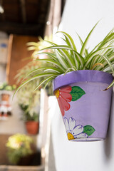Spain - December 28 2020: Street full of plants in the south of Spain