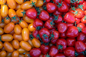 background from red and yellow ripe tomatoes grown without chemistry