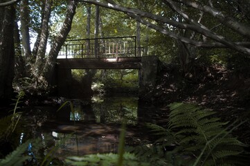 Brücke über Bach in Wald