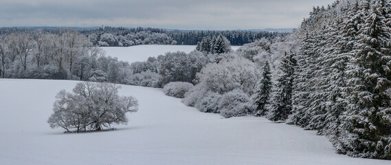 Winter in the Black Forest, the forests, meadows and fields are now covered with snow. Silence lies over the valley and creates a mysterious atmosphere. 