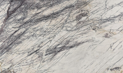 Milas Lilac marble. white marble with black stripes. High quality texture