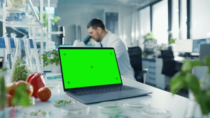 Laptop Computer with Green Screen Mock Up Display on a Table in Scientific Environment. Microbiologist is at Work in the Background in a Bright Modern Food Laboratory with Technological Equipment.