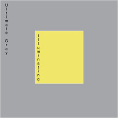 The main colors of 2021 are Illuminating and Ultimate Gray