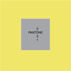 The main 2 colors of 2021 are Illuminating and Ultimate Gray