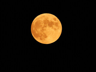 Obraz premium Full Hunter's Moon