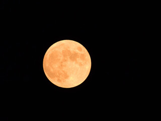 Obraz premium Full Orange color Moon